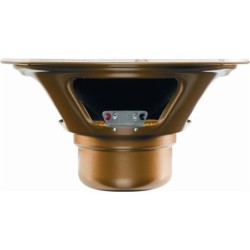 Celestion G10 Gold
