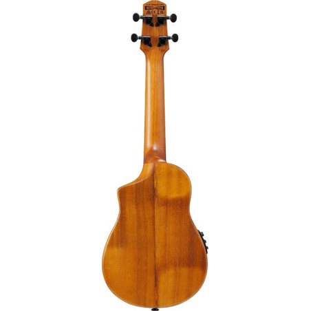 Ibanez AUC10E-OPN Open Pore Natural