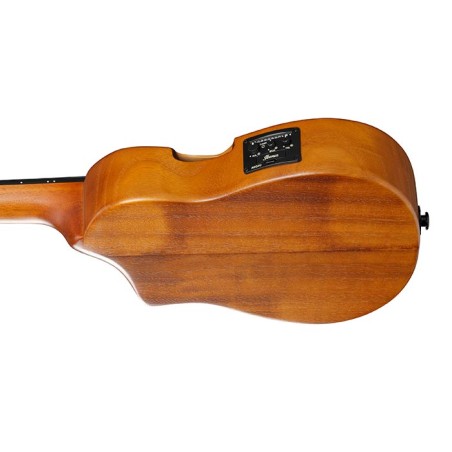 Ibanez AUC10E-OPN Open Pore Natural