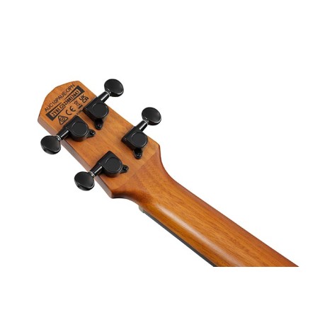 Ibanez AUC10E-OPN Open Pore Natural