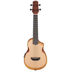 Ibanez AUC10E-OPN Open Pore Natural