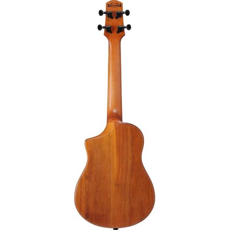 Ibanez AUT10-OPN Open Pore Natural