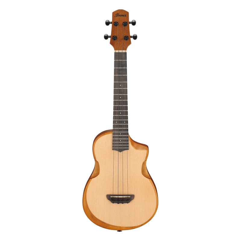 Ibanez AUT10-OPN Open Pore Natural