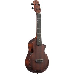 Ibanez AUC14-OVL Open Pore Violin Sunburst