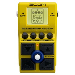 ZOOM MS-200D+