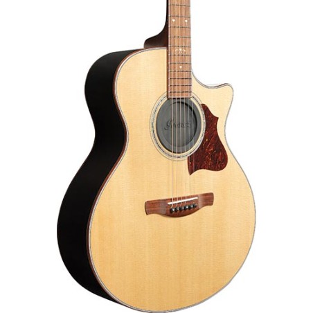 Ibanez ISC1