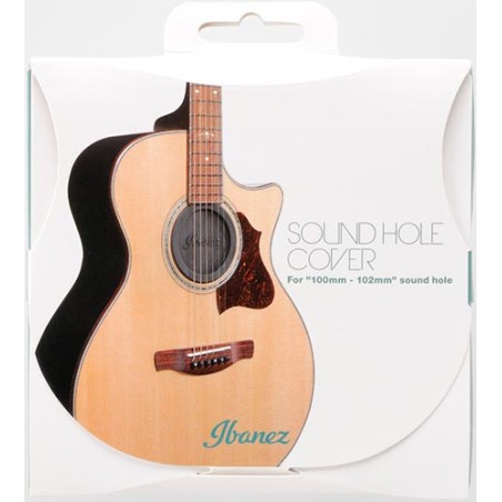 Ibanez ISC1
