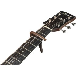 Ibanez IGC10W