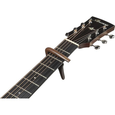 Ibanez IGC10W