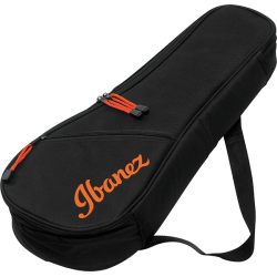 Ibanez IUBS301-BK Black