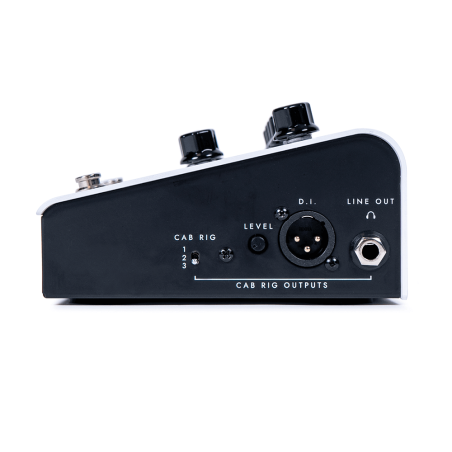 Blackstar Dept. 10 amped 1