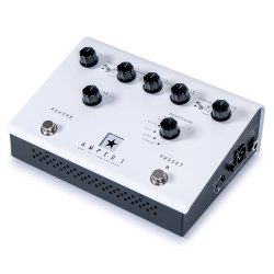 Blackstar Dept. 10 amped 1