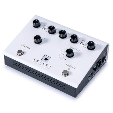 Blackstar Dept. 10 amped 1