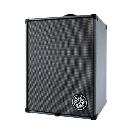 Darkglass D210A