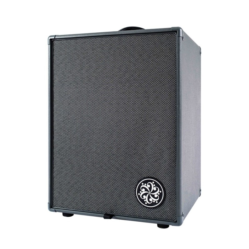 Darkglass D210D
