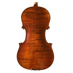 Fenice Studente Violino 4/4 Set C