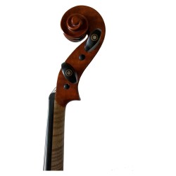Fenice Studente Violino 4/4 Set C