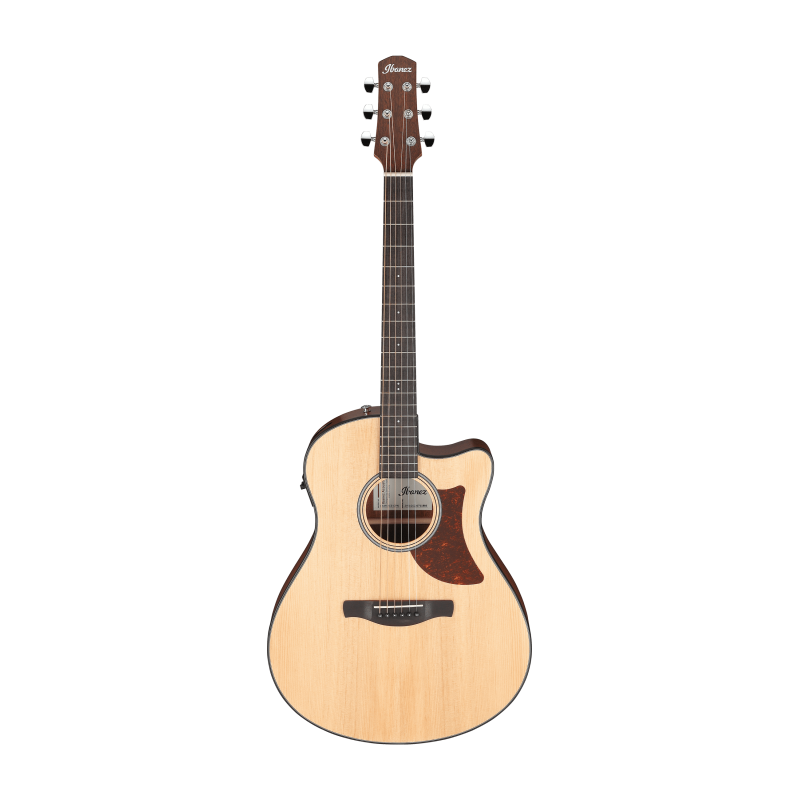 Ibanez AAM50CE-OPN Open Pore Natural
