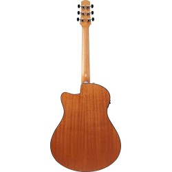 Ibanez AAM50CE-OPN Open Pore Natural
