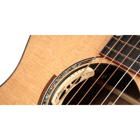 Cort Abstract Delta Natural Gloss + Bag