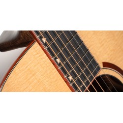 Cort Abstract Delta Natural Gloss + Bag