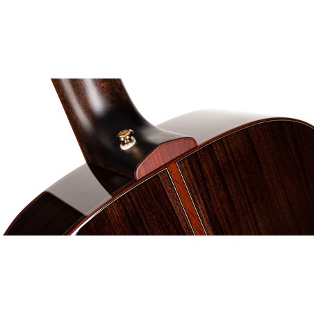 Cort Abstract Delta Natural Gloss + Bag