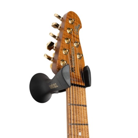 Ernie Ball 9619