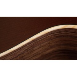Taylor AD11e-SB