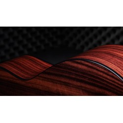 Taylor 50th Anniversary 217e-SB Plus LTD