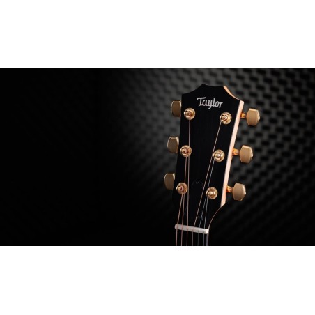 Taylor 50th Anniversary 217e-SB Plus LTD