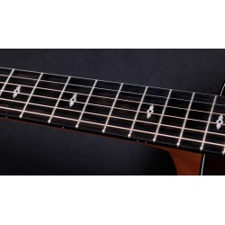 Taylor 50th Anniversary 217e-SB Plus LTD