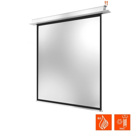 celexon Recessed Ceiling Screen Motor Professional Plus 280 x 280 cm