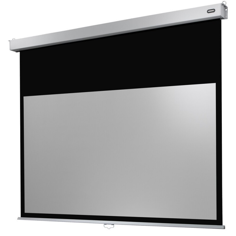 celexon Canvas Roller Blind Professional Plus 300 x 187 cm