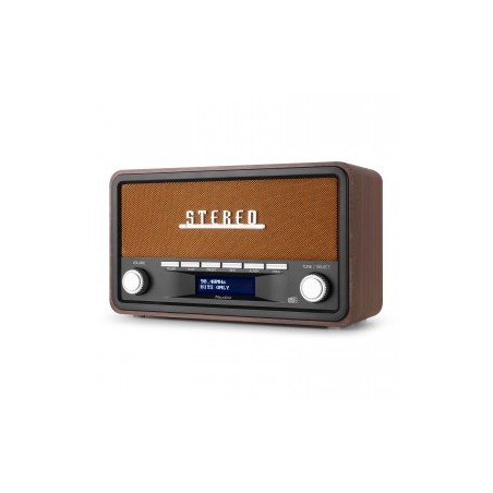 Audizio Foggia Copper