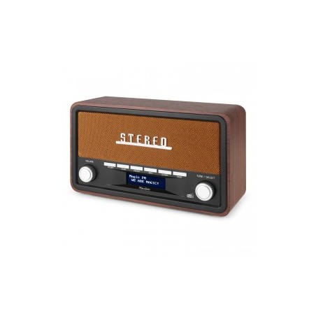 Audizio Foggia Copper