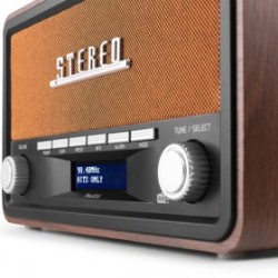 Audizio Foggia Copper