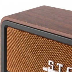 Audizio Foggia Copper