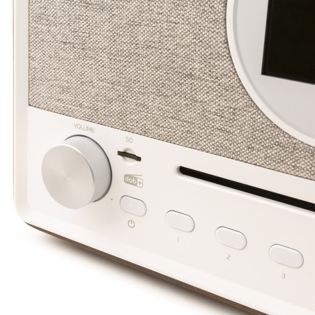 Audizio Lucca White