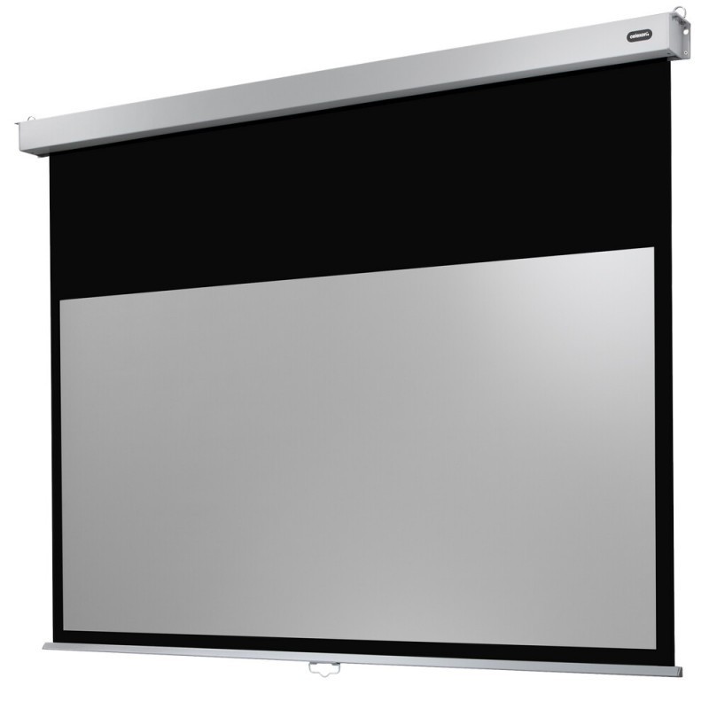 celexon Canvas Roller Blind Professional Plus 280 x 158 cm