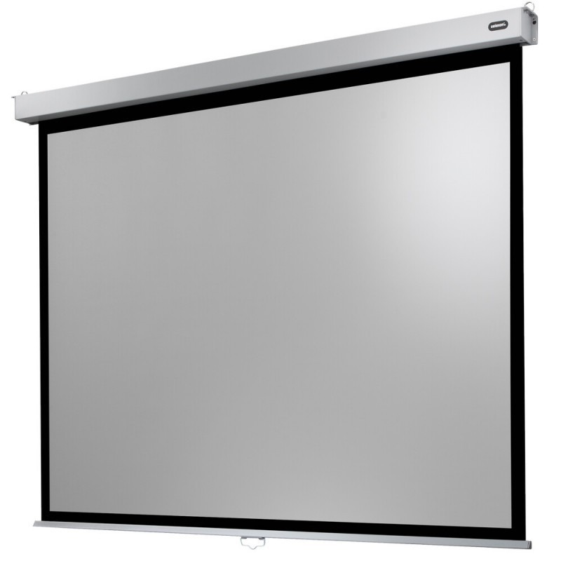 celexon Canvas Roller Blind Professional Plus 280 x 210 cm