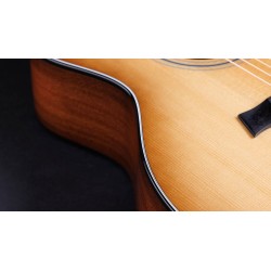 Taylor 314ce Ltd 50th Anniversary