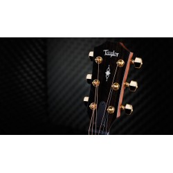 Taylor 314ce Ltd 50th Anniversary