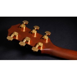 Taylor 314ce Ltd 50th Anniversary
