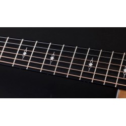 Taylor 314ce Ltd 50th Anniversary