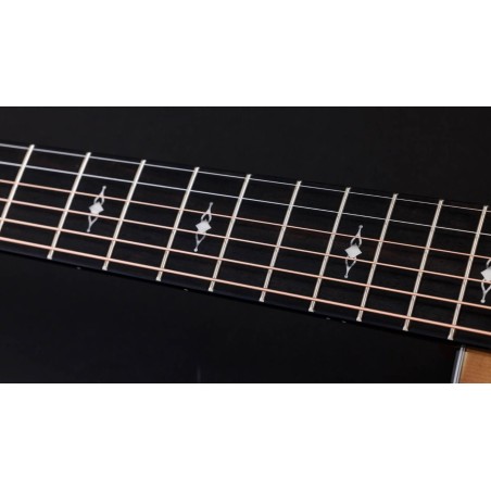 Taylor 314ce Ltd 50th Anniversary
