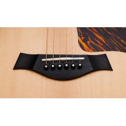Taylor 314ce Ltd 50th Anniversary