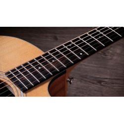Taylor 114ce Sapele Sitka