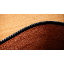 Taylor 114ce Sapele Sitka