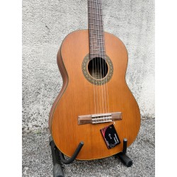Walden N570 (USATO)