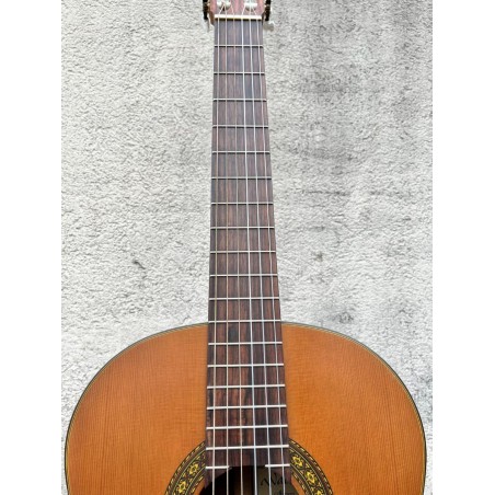 Walden N570 (USATO)